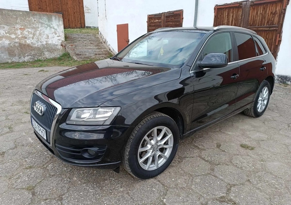 Audi Q5 cena 48800 przebieg: 220000, rok produkcji 2011 z Moryń małe 211